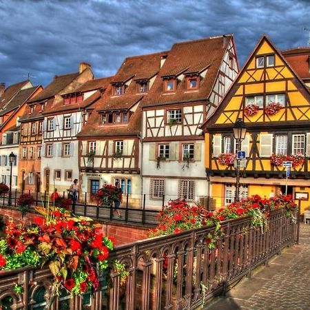 Appartement Climatise 70 M2, Proximite De Colmar Sainte-Croix-en-Plaine Zewnętrze zdjęcie