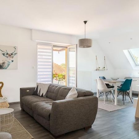 Appartement Climatise 70 M2, Proximite De Colmar Sainte-Croix-en-Plaine Zewnętrze zdjęcie