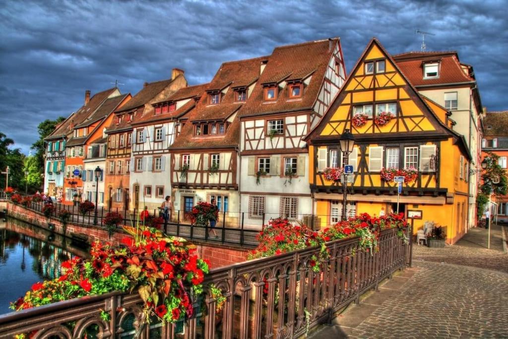 Appartement Climatise 70 M2, Proximite De Colmar Sainte-Croix-en-Plaine Zewnętrze zdjęcie