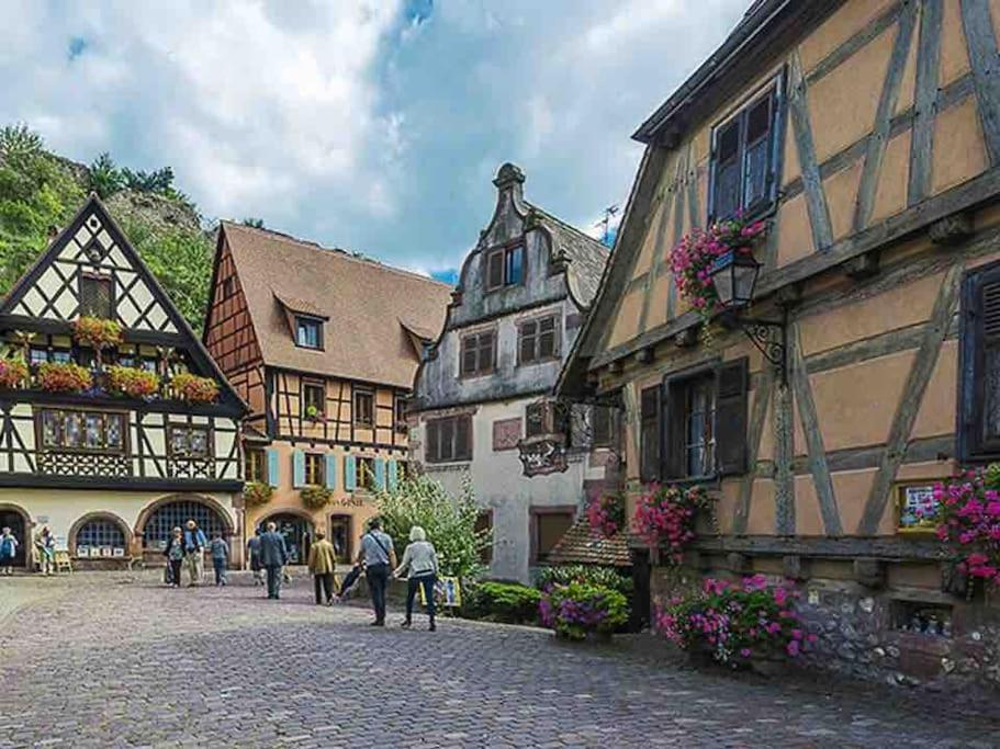 Appartement Climatise 70 M2, Proximite De Colmar Sainte-Croix-en-Plaine Zewnętrze zdjęcie