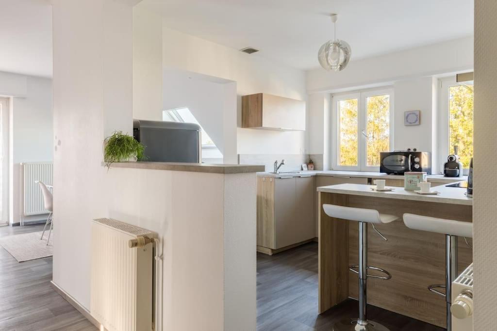 Appartement Climatise 70 M2, Proximite De Colmar Sainte-Croix-en-Plaine Zewnętrze zdjęcie