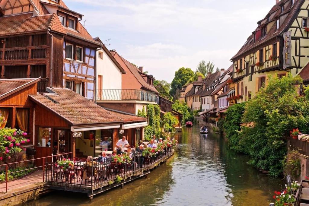 Appartement Climatise 70 M2, Proximite De Colmar Sainte-Croix-en-Plaine Zewnętrze zdjęcie
