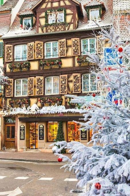 Appartement Climatise 70 M2, Proximite De Colmar Sainte-Croix-en-Plaine Zewnętrze zdjęcie