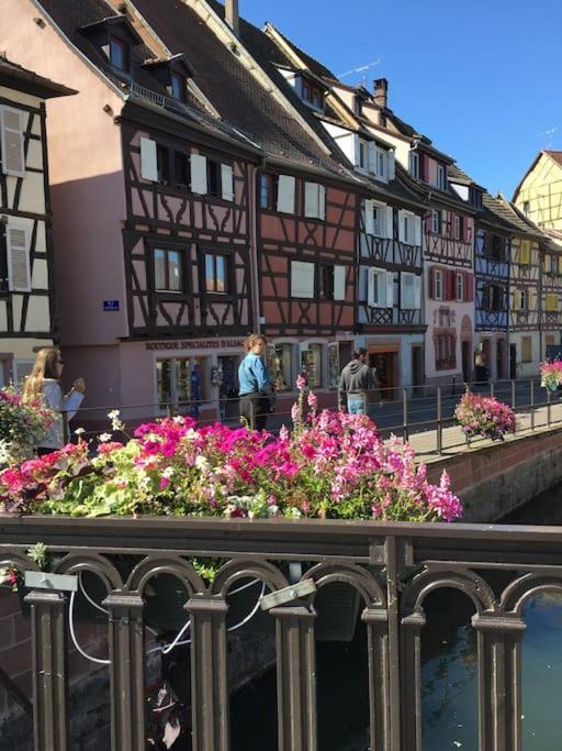 Appartement Climatise 70 M2, Proximite De Colmar Sainte-Croix-en-Plaine Zewnętrze zdjęcie