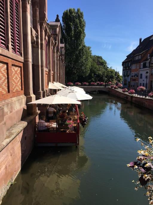 Appartement Climatise 70 M2, Proximite De Colmar Sainte-Croix-en-Plaine Zewnętrze zdjęcie